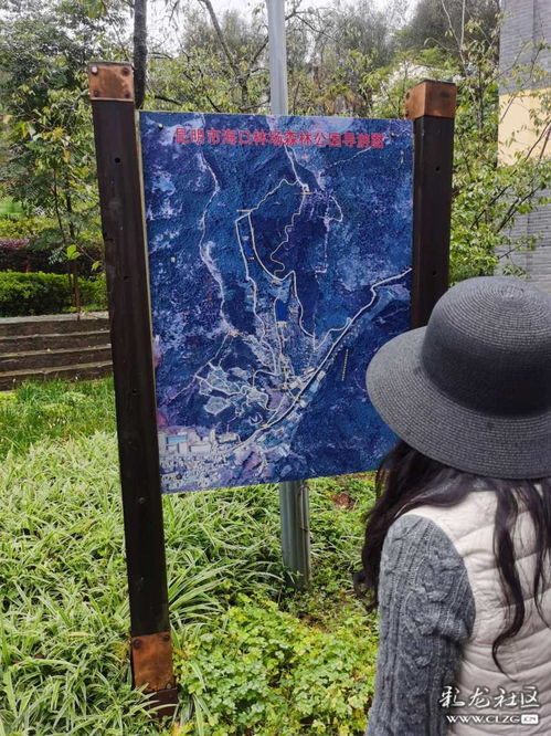 2021年文藝創作課題調研 動漫游戲開發的新趨勢與挑戰